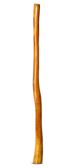 Gloss Finish Didgeridoo (TW846)